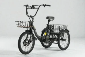 Skeri Electric Trike ET04 Review: A Stable, Powerful E-Trike for Everyday Riders