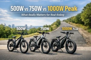 500W vs 750W vs 1000W Peak E-Bikes