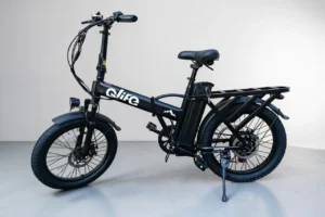 Qlife Hunter Folding Electric Bike Review