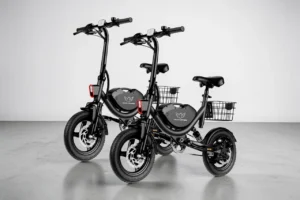 WINDHORSE W3 Electric Bike Review