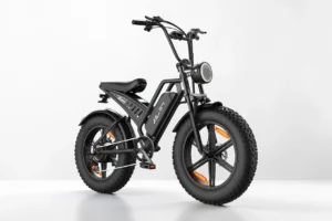 RPINT E500 Electric Bike Review