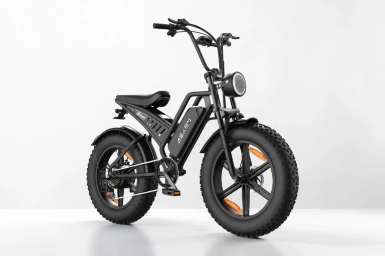 RPINT E500 Electric Bike Review