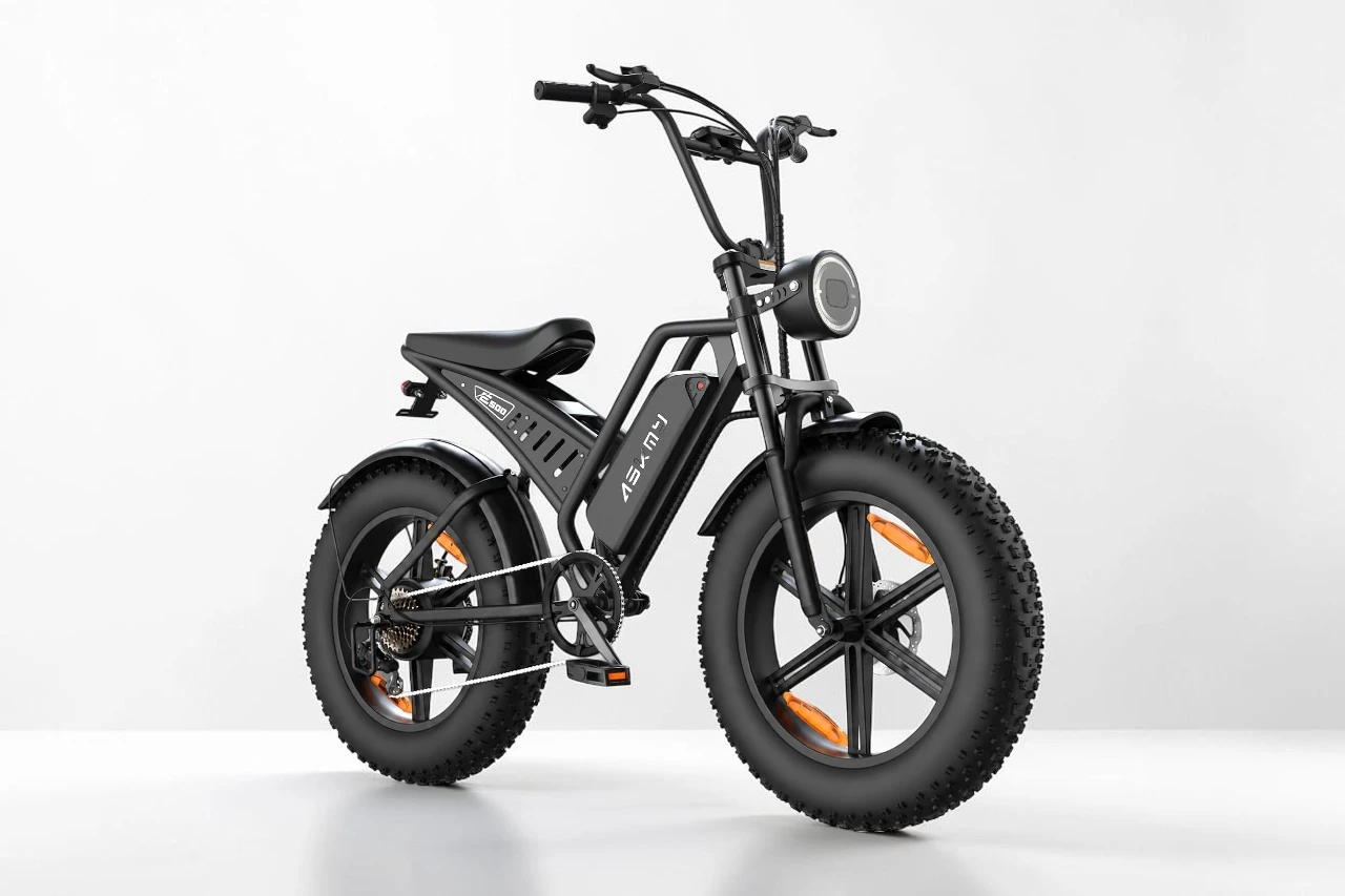RPINT E500 Electric Bike Review